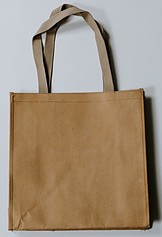 canvas shopping bag