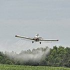 Crop Dusting Plane