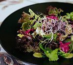 Organic Salad With Hemp Seed