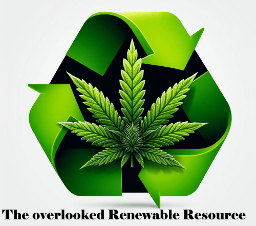 Hemp The Overlooked Renewable Resource