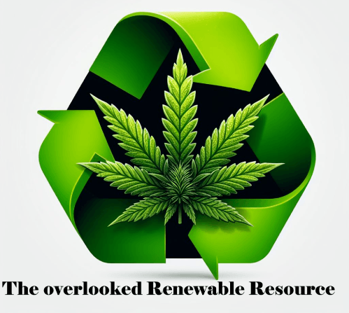Industrial Hemp: The Overlooked Renewable Resource