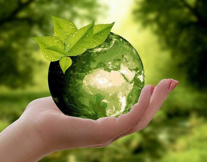 Green Earth in Hand With leaves