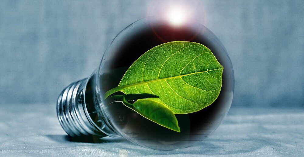 Innovative Going Green: lightbuld with leaf